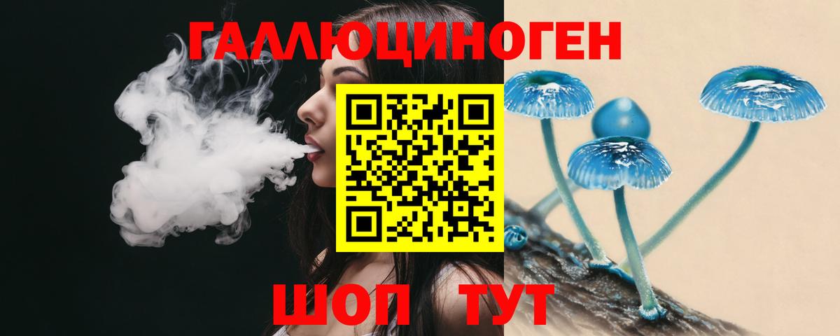 Павлово  Псилоцибиновые грибы Psilocybine cubensis  Псилоцибиновые грибы Psilocybe  где можно купить наркотик  Вход с VPN 